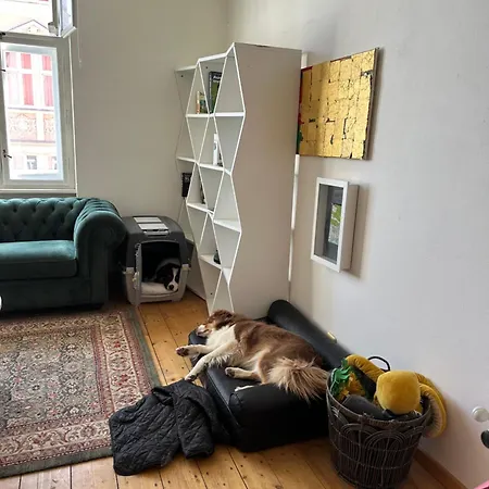 Petrol Pack apartmán *