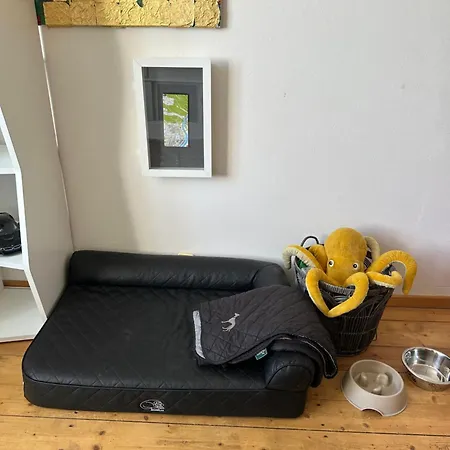 Petrol Pack apartmán Decin
